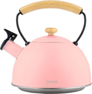 briebe Retro-Induktions-Wasserkoche...