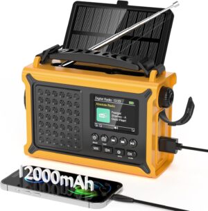Mesqool DAB/DAB+/FM Digitalradio mi...
