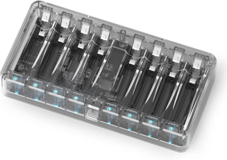 BEVIGOR Haushaltsbatterieladegeräte AA AAA NI-MH-Akku, wiederaufladbare AA AAA-Batterien, 8-Wege-Ladegerät, transparent