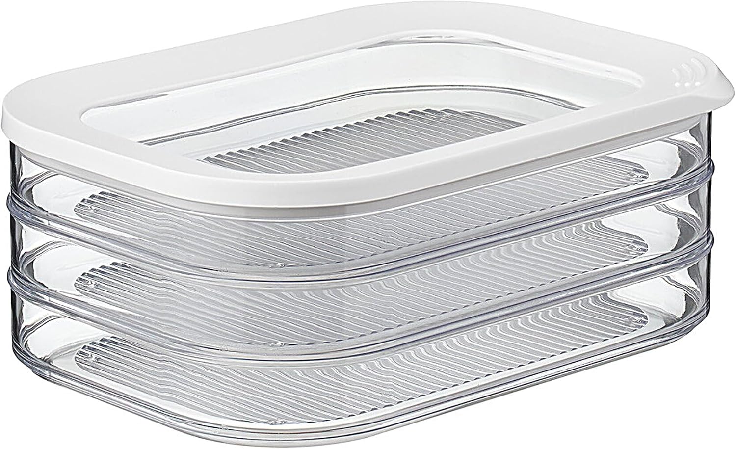 Rosti Mepal Modula Aufbewahrungsbox mit Schinken 550/3