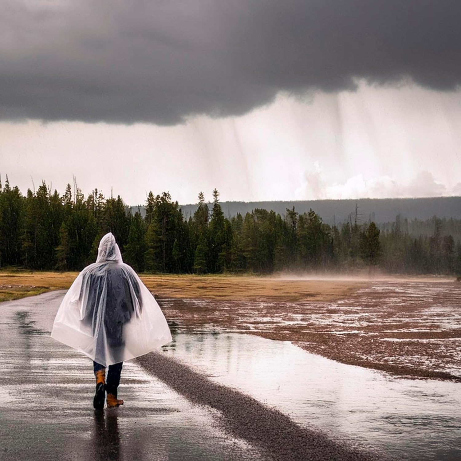 ZENO Regenponcho Festival wasserdicht – Regencape Festival Einweg – Regenponcho Damen & Herren – transparent mit Kapuze – Notfall-Poncho für Reisen, Wandern, Camping – Einweg-Poncho, 6 Stück – Bild 8