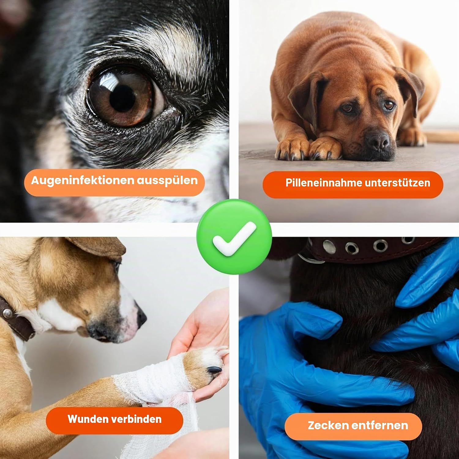 TheDogTagCo Erste-Hilfe-Set für Hunde, über 40 Gesundheitsartikel, kompakt und tragbar, vorbereitet für jeden Notfall bei Haustieren – Bild 5