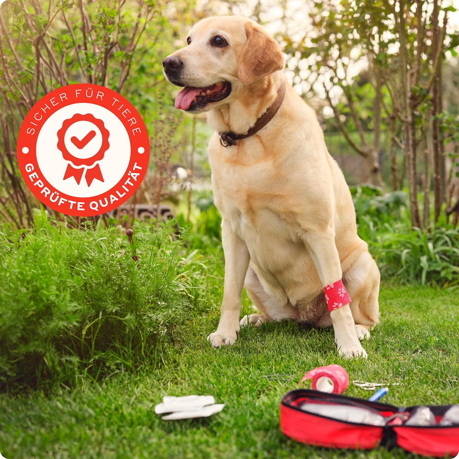 PURAHELP Erste-Hilfe-Set für Hunde und Katzen (51-teilig) – Erste-Hilfe-Erste-Hilfe-Tasche mit Zeckenpinzette, Pinzette & mehr – Notfallset für Hunde & Katzen – Hundeapotheken-Set – Erste-Hilfe-Notfallset Hund – Bild 6