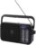 Panasonic RF-2400DEG-K Tragbares Radio mit Tragegriff, Netz- oder Batteriebetrieb, Schwarz