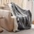 GOTCOZY Heizdecke 130 x 180 cm – weiche seidige Plüsch-Wärmedecke, Heizdecke, 9 Heizstufen und 10 Stunden Auto-Off-Timer, Überhitzungsschutz, Kuscheldecke für Bett und Büro, waschbar (grau)