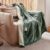 GOTCOZY Heizdecke 130 x 180 cm – weiche, seidige Plüsch-Heizdecke, Heizdecke, 9 Heizstufen und 10 Stunden Auto-Off-Timer, Überhitzungsschutz, Kuscheldecke für Bett und Büro, waschbar (grün)